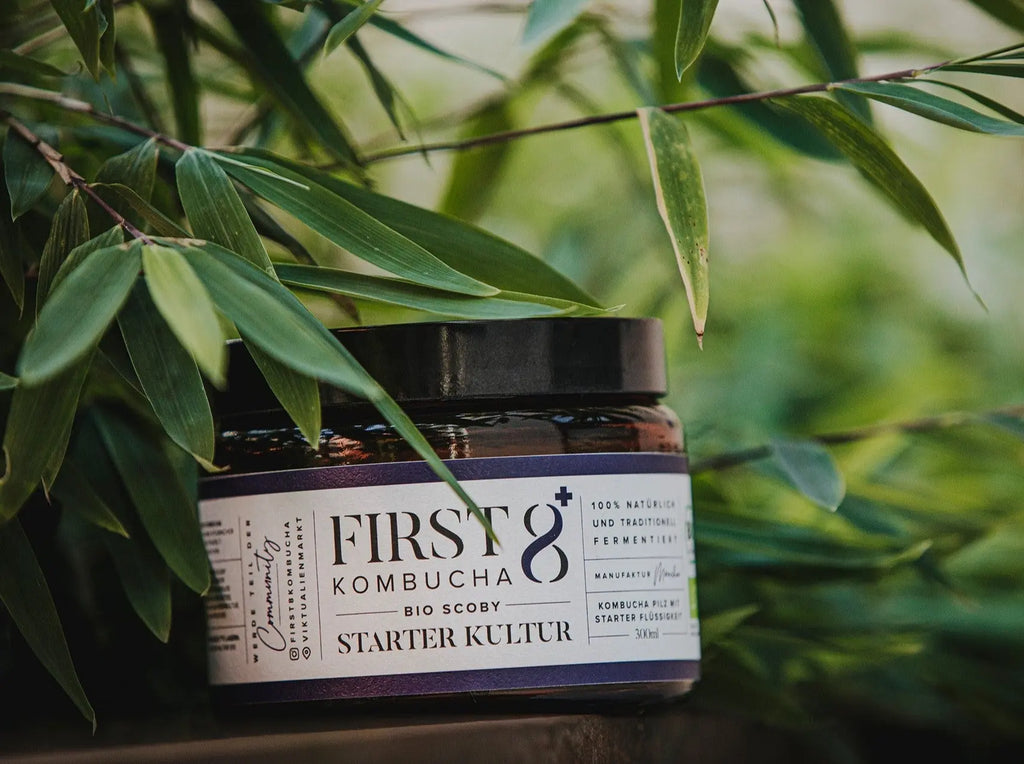 Starterkulturen-und-Sets FIRST8 Kombucha Manufaktur München