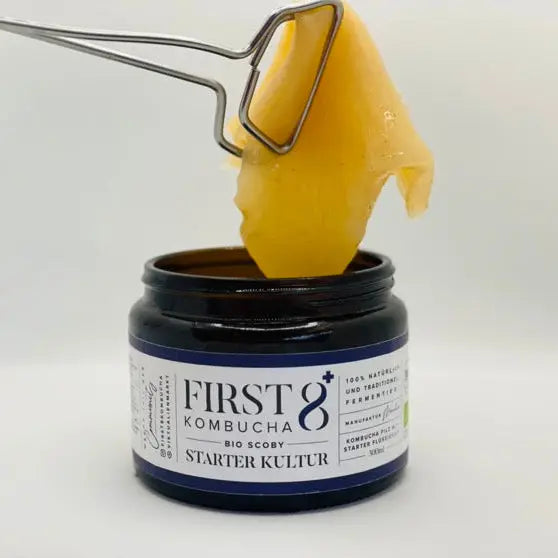 Kombucha Pilz mit Starterflüssigkeit | FIRST8 Manufaktur