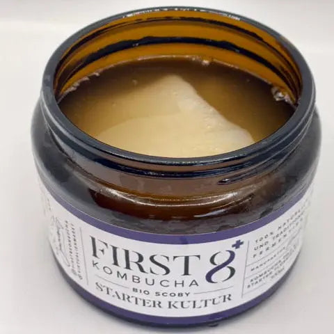 Teepilz schwimmt in Kombucha Staterkultur Glas von FIRST8 Kombucha