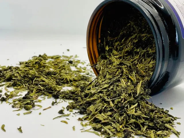 Teemischung  für Kombuchaherstellung | loser Tee