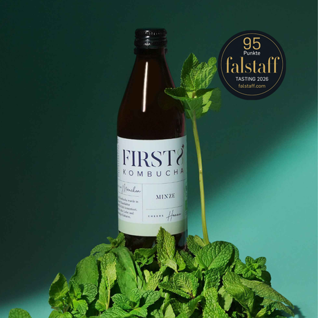 FIRST8 Raw Kombucha | MINZE | Bio | 6 x 330ml FIRST8 Manufaktur München